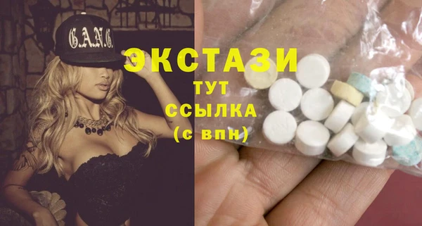 шишки Абаза