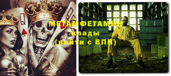 шишки Абаза
