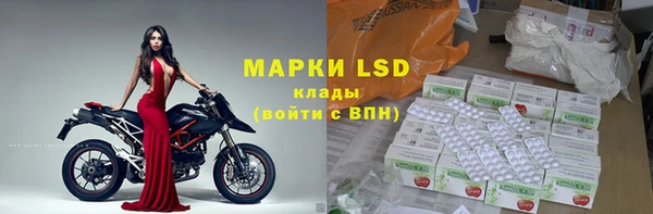 стафф Абинск