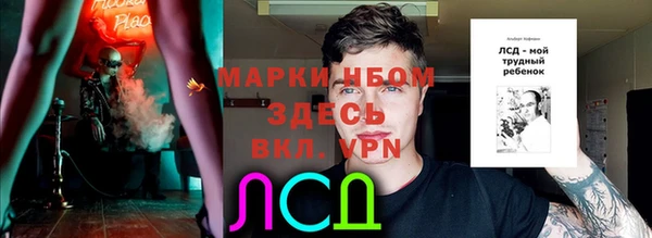 шишки Абаза