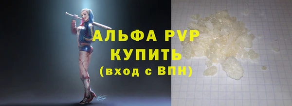 шишки Абаза