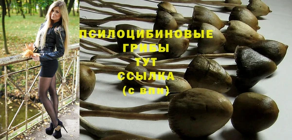 шишки Абаза