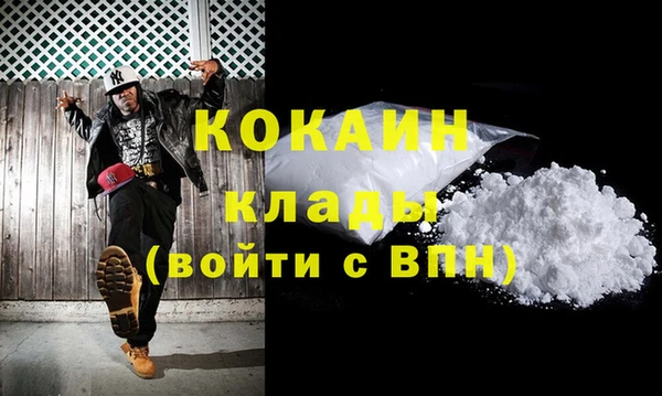 шишки Абаза