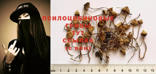 стаф Абдулино