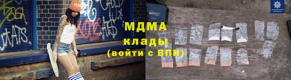 шишки Абаза