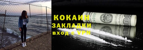 шишки Абаза